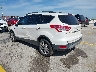 1FMCU0G93EU****** Salvamento y Reparables 2014 Ford Escape en Austin North