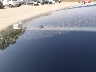 4JGDA5HB8CA****** Salvage and Repairable 2012 Mercedes-Benz M-Class in Colorado State