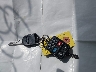1FAHP3GN4AW****** Salvamento 2010 Ford Focus en Estado de Wisconsin