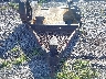 TNT0720U***** Reparables 2020 Novae 17' Equipment Trailer en Tifton