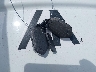 5XYP6DGC6RG****** Salvage 2024 Kia Telluride in Florida State