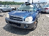 KM8SC73D36U****** Used and Repairable 2006 Hyundai Santa Fe in Englishtown