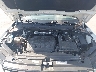3VV1B7AX8KM****** Reparables 2019 Volkswagen Tiguan en Clearwater