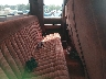 2GCEK19K9P1****** Wrecked 1993 Chevrolet GMT-400 in Greenville