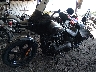 1HD1YYK11NB****** Usados y Reparables 2022 Harley-Davidson Street Bob 114 en Rec Rides Online Exclusive