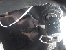 2GKALPEK0H6****** Salvage 2017 GMC Terrain in Georgia State