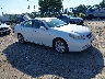 JTHBJ46G182****** Salvage and Wrecked 2008 Lexus ES 350 in Philadelphia