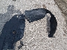 1GCDT136048****** Wrecked 2004 Chevrolet Colorado in Missouri State