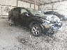 JTJYARBZ3H2****** Salvage and Wrecked 2017 Lexus NX in Shreveport