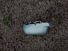 9BWGH21J2Y4****** Wrecked 2000 Volkswagen Golf in Wisconsin State