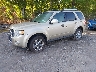 1FMCU9EG0BK****** Used and Repairable 2011 Ford Escape in Albany