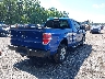 1FTRX14889K****** Salvage and Wrecked 2009 Ford F-150 in Maryland State
