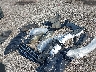 WDDGF4HB3EG****** Wrecked 2014 Mercedes-Benz C 250 in South Carolina State