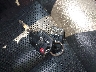 5LMJJ2J5XBE****** Salvamento 2011 Lincoln Navigator en Estado de Pennsylvania