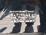 5UX43DP04N9****** Used 2022 BMW X3 in North Hollywood
