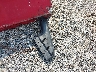 5FNYF48279B****** Wrecked 2009 Honda Pilot in Maryland State