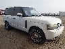 SALMF1D49AA****** Salvage and Wrecked 2010 Land Rover Range Rover in Phoenix
