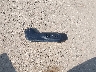 5TFJA5AB1NX****** Wrecked 2022 Toyota Tundra in Texas State