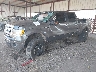 1FTFW1EF9DK****** Used and Repairable 2013 Ford F-150 in Fort Worth North
