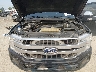 1FTEW1E44KF****** Repairable 2019 Ford F-150 in Billings