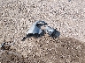 1C4PJMDN9KD****** Wrecked 2019 Jeep Cherokee in Nebraska State