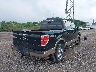 1FTFW1ET1DK****** Salvamento y Destrozados 2013 Ford F-150 en Estado de Pennsylvania
