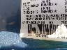 1D7HU16D93J****** Usados 2003 Dodge Ram 1500 en Pulaski
