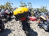 SMT700EH2XJ****** Salvamento y Reparables 1999 Triumph Tiger en Estado de Oregón