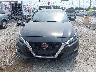 1N4BL4CV7MN****** Destrozados 2021 Nissan Altima en Estado de Kentucky