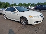 19UUA66247A****** Salvage and Wrecked 2007 Acura TL in Hartford