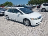 19XFA1F54AE****** Salvage and Wrecked 2010 Honda Civic in Springfield