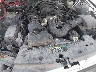 1ZVFT80NX55****** Reparables 2005 Ford Mustang en Corpus Christi