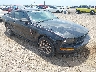 1ZVFT80NX55****** Salvamento y Destrozados 2005 Ford Mustang en Corpus Christi