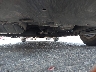 JTDKARFU7G3****** Usados 2016 Toyota Prius