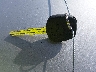 4T1BF18B7WU****** Salvamento 1998 Toyota Avalon en Estado de Texas