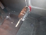 2GKFLTE37E6****** Salvamento 2014 GMC Terrain en Estado de Virginia
