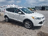 1FMCU9JX2FU****** Salvage and Wrecked 2015 Ford Escape in Fort Wayne