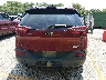 1C4PJMCS9EW****** Used 2014 Jeep Cherokee