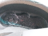 1N4AL2AP1AN****** Salvage 2010 Nissan Altima in Austin