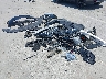 JTDADABU5P3****** Wrecked 2023 Toyota Prius in California State