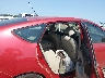 JTDKB20U287****** Wrecked 2008 Toyota Prius in Little Rock