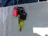 1FTCR10A5RP****** Salvamento 1994 Ford Ranger en Estado de California