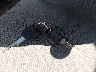 2J4FY59T0LJ****** Salvamento 1990 Jeep Wrangler en Estado de Pennsylvania