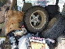 2J4FY59T0LJ****** Destrozados 1990 Jeep Wrangler en Estado de Pennsylvania