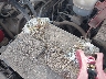 1J4GL48K72W****** Salvage and Repairable 2002 Jeep Liberty in Nevada State