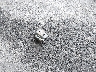 1GCEK29079Z****** Wrecked 2009 Chevrolet Silverado 1500 in New York State