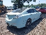 19UUA96549A****** Salvage and Wrecked 2009 Acura TL in New York State