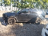 5XYP5DGC6RG****** Reparables 2024 Kia Telluride en Estado de Nueva Jersey