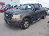 1FTRX12W46F****** Used and Repairable 2006 Ford F-150 in Austin