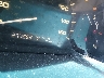 1HGCM66536A****** Salvamento 2006 Honda Accord en Lexington
